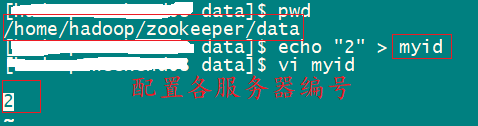 Zookeeper集群配置说明