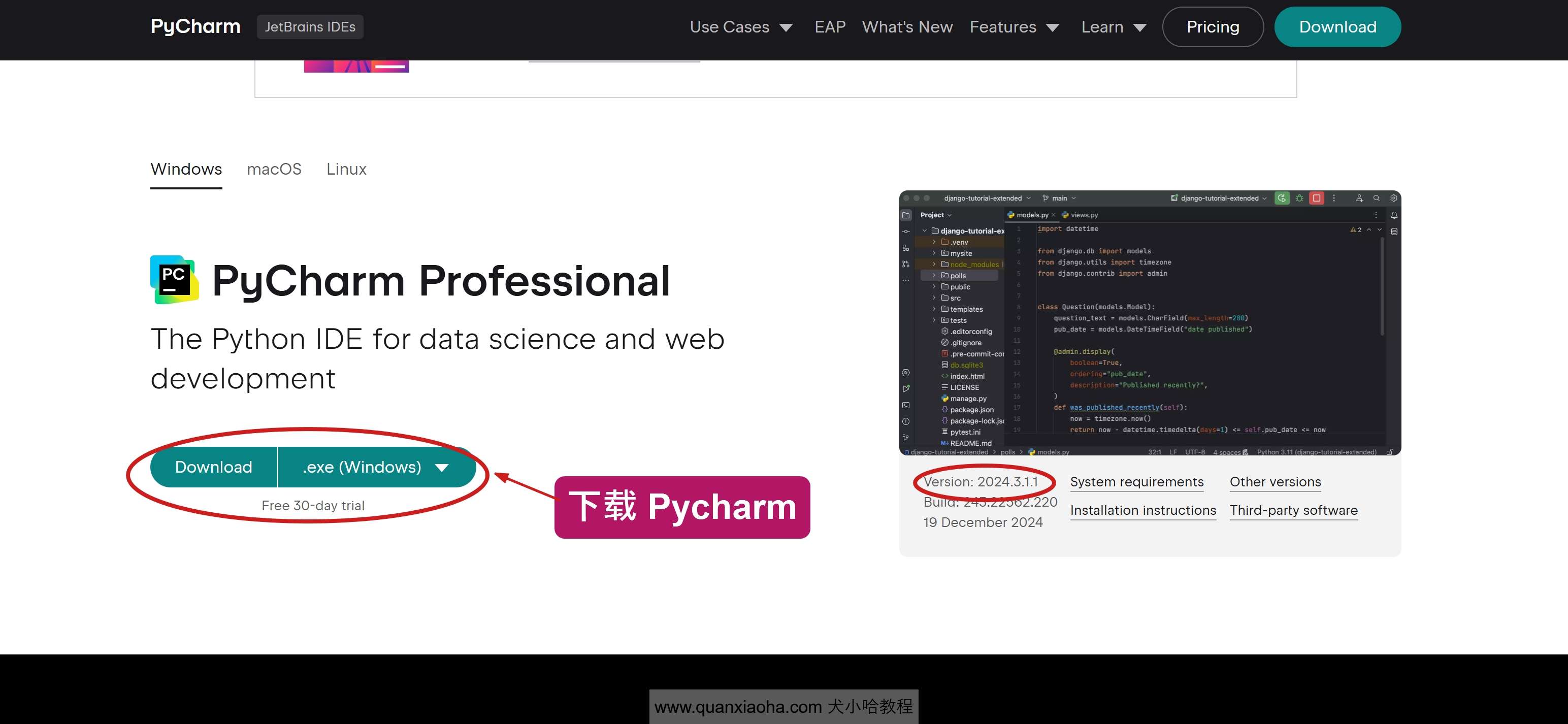 下载 Pycharm  2024.3.1.1 版本安装包