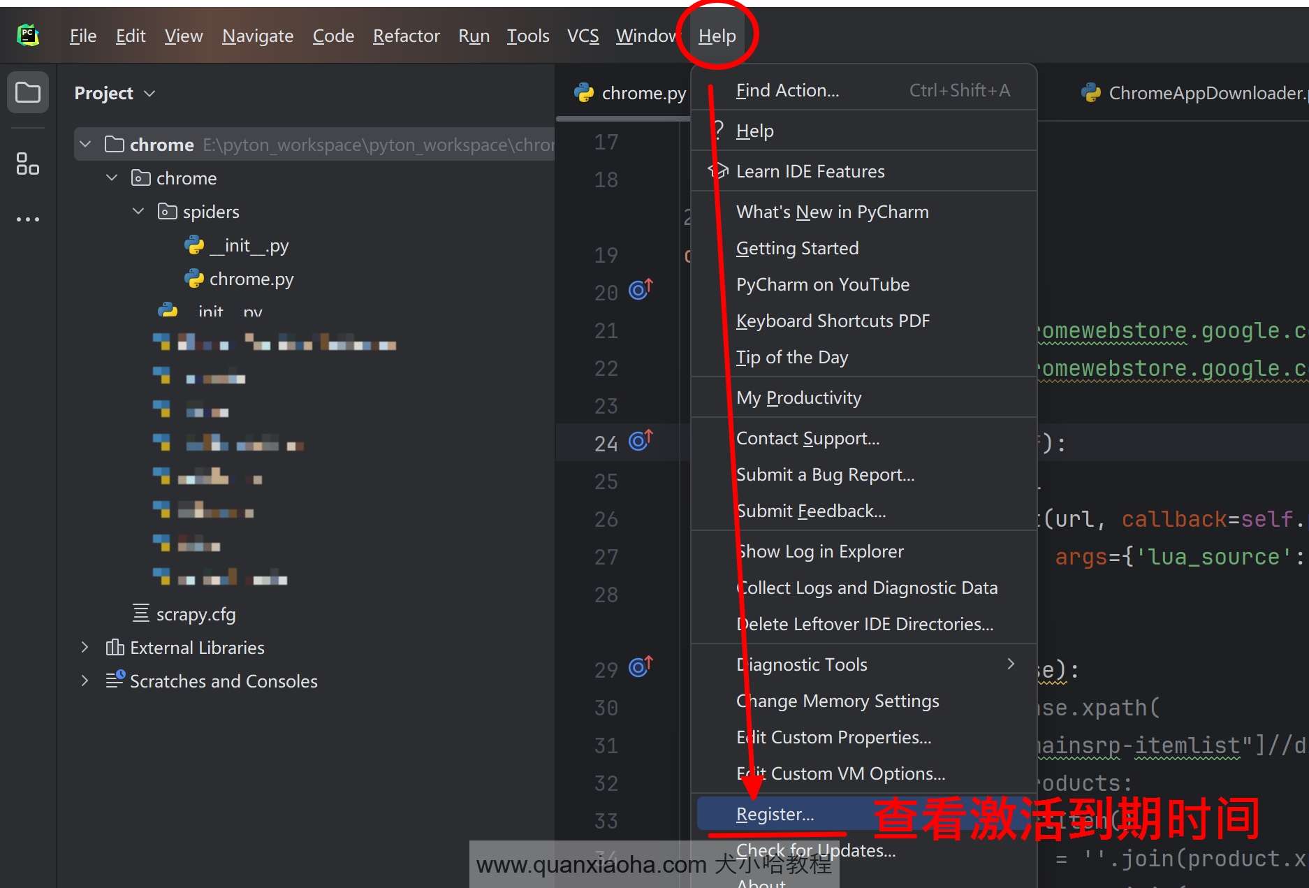 检查 Pycharm  2024.3.1.1 的到期时间