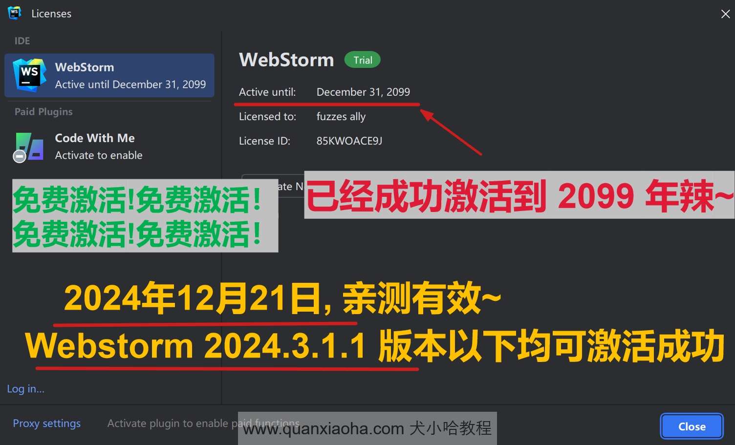 Webstorm  2024.3.1.1 版本激活到 2099 年截图