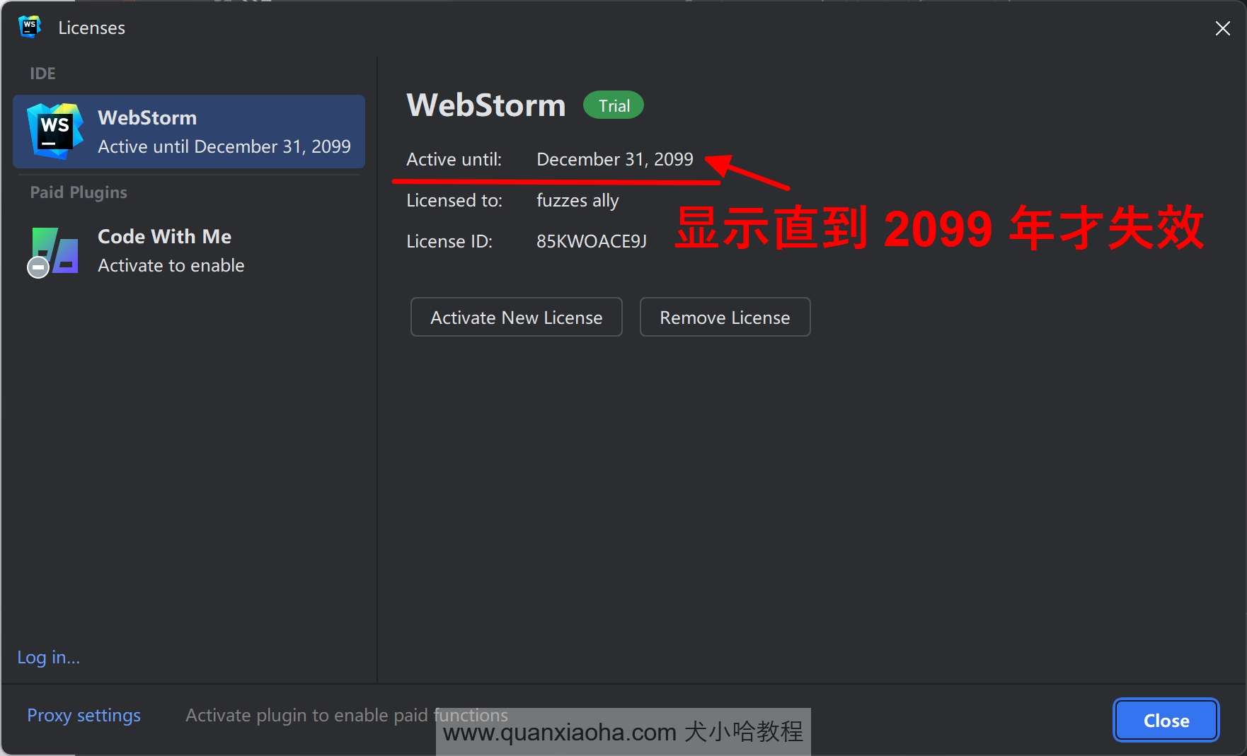 Webstorm  2024.3.1.1 已经成功激活到 2099 年