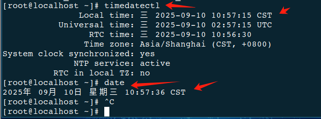 VMware虚拟机上安装麒麟ServerV10(图28) image